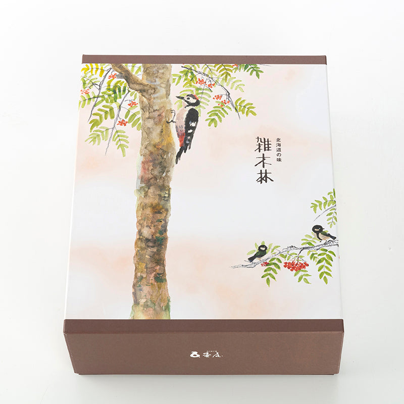 雑木林(ぞうきばやし)