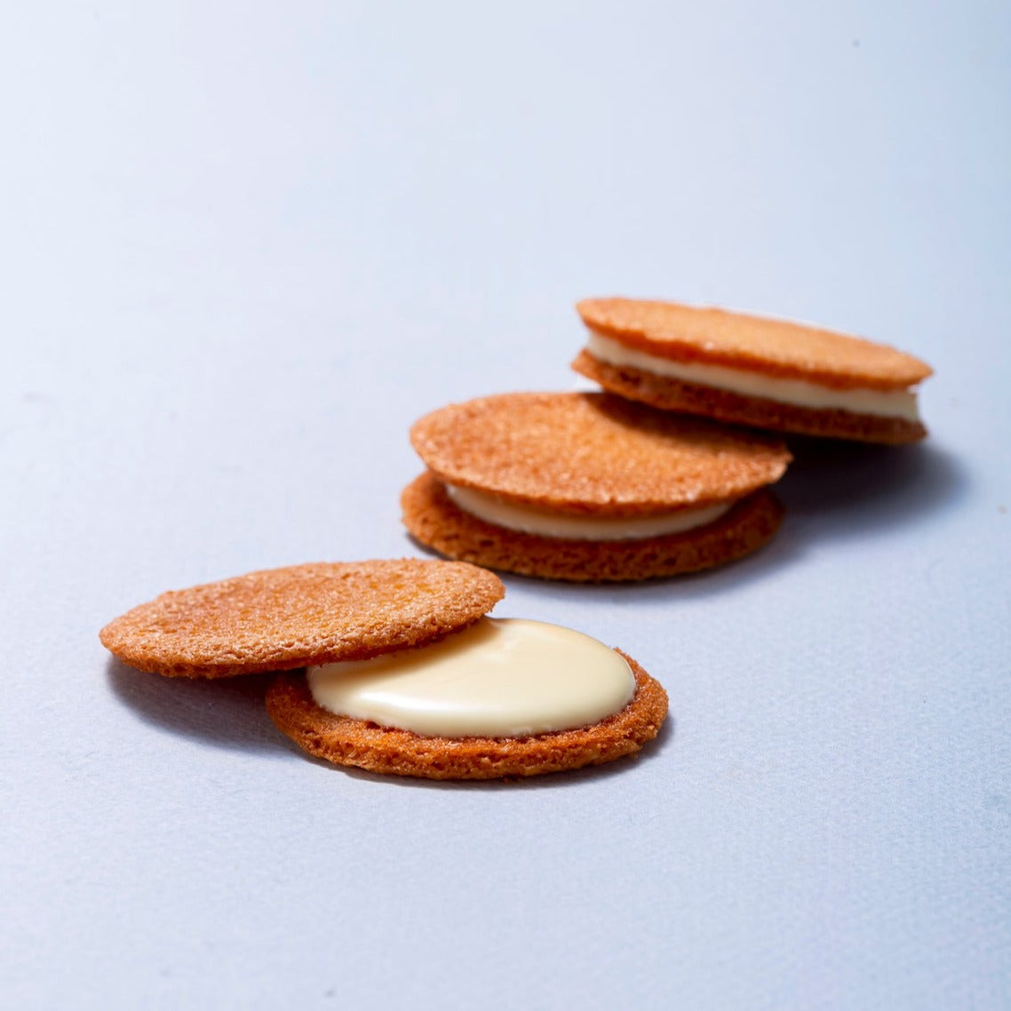 き花プティモ ホワイト 8枚入