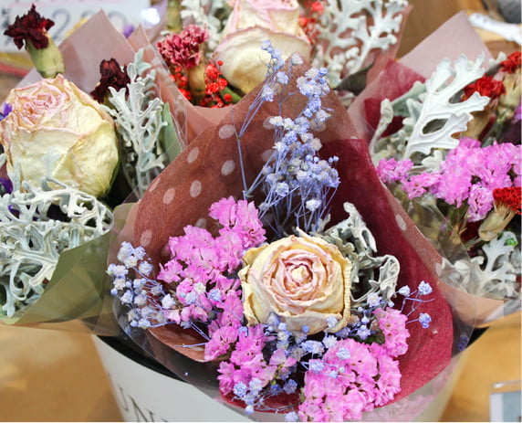 ミドリとハナコ