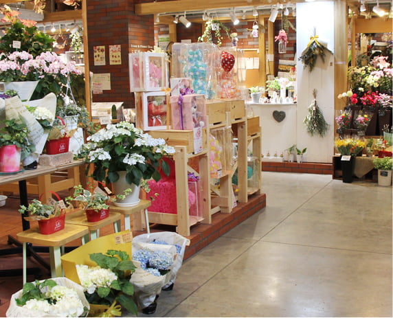 ミドリとハナコ