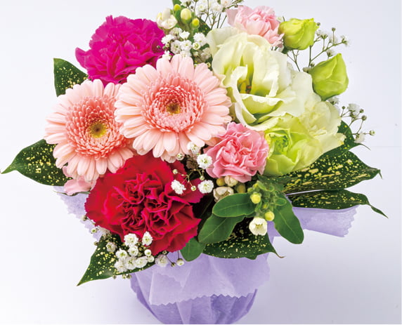 ミドリとハナコ