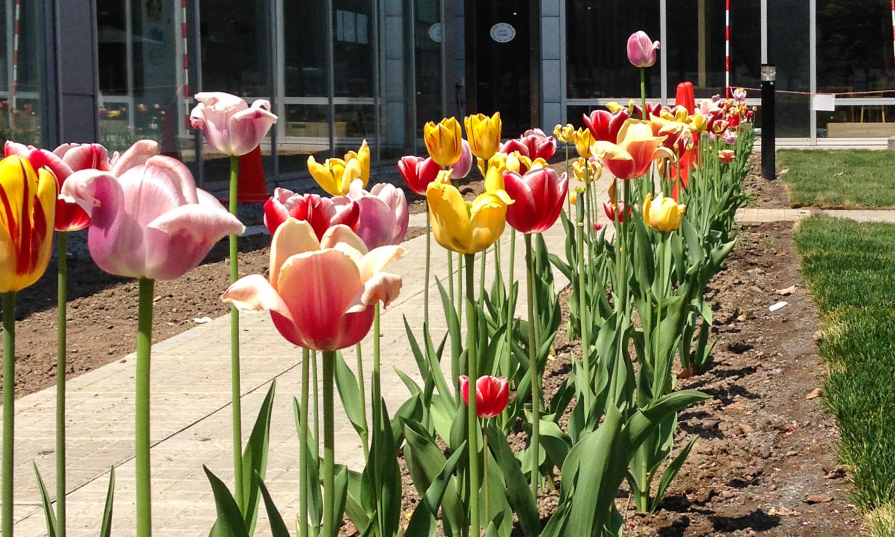 遊べる!学べる!味わえる!