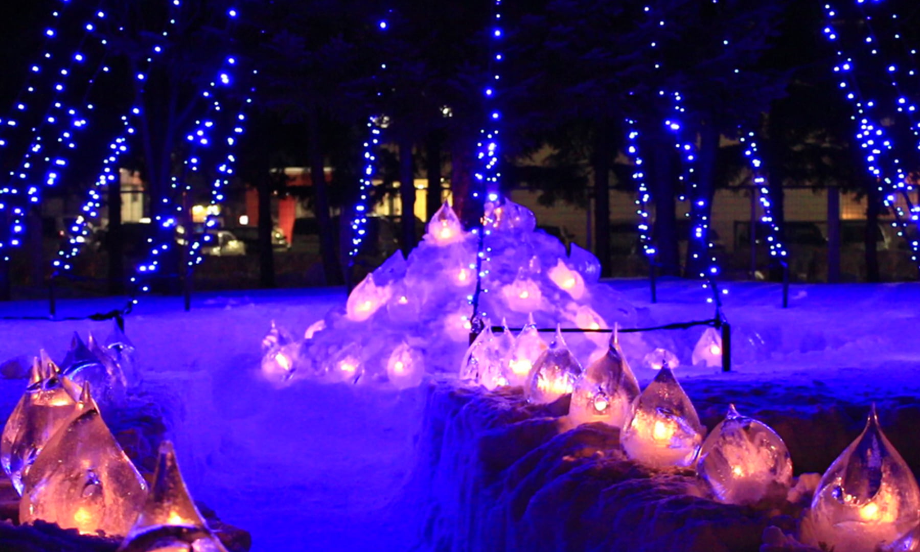 遊べる!学べる!味わえる!