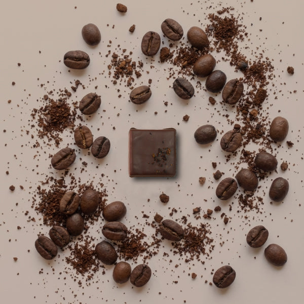 北海道ボンボンショコラ ６個入【冷蔵便】