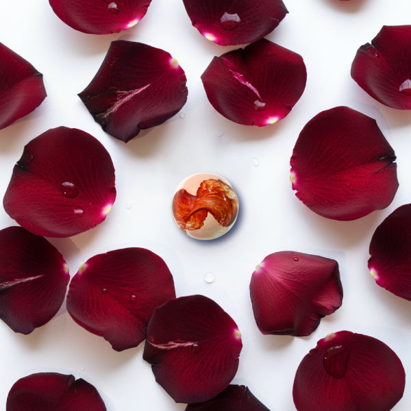 北海道ボンボンショコラ 12個入【冷蔵便】