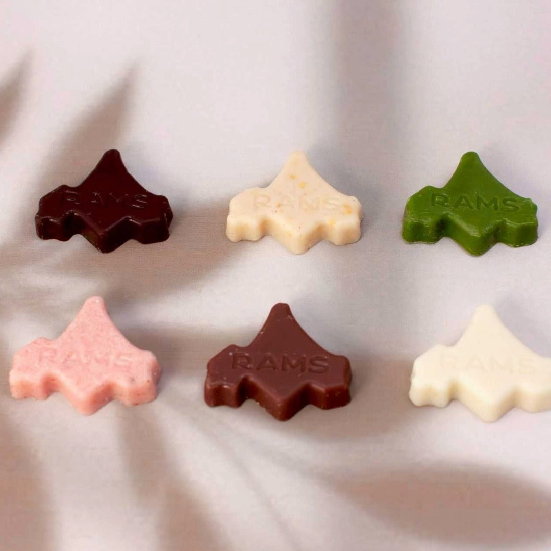 Mini Hokkaido Chocolate Milk