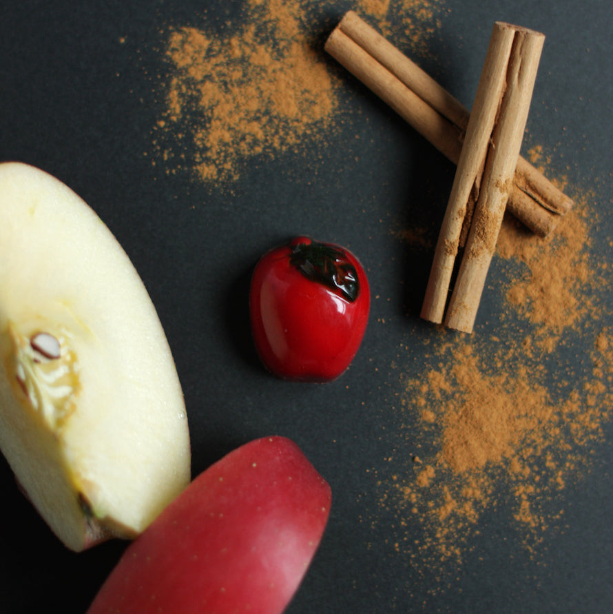 北海道ボンボンショコラ 12個入【冷蔵便】