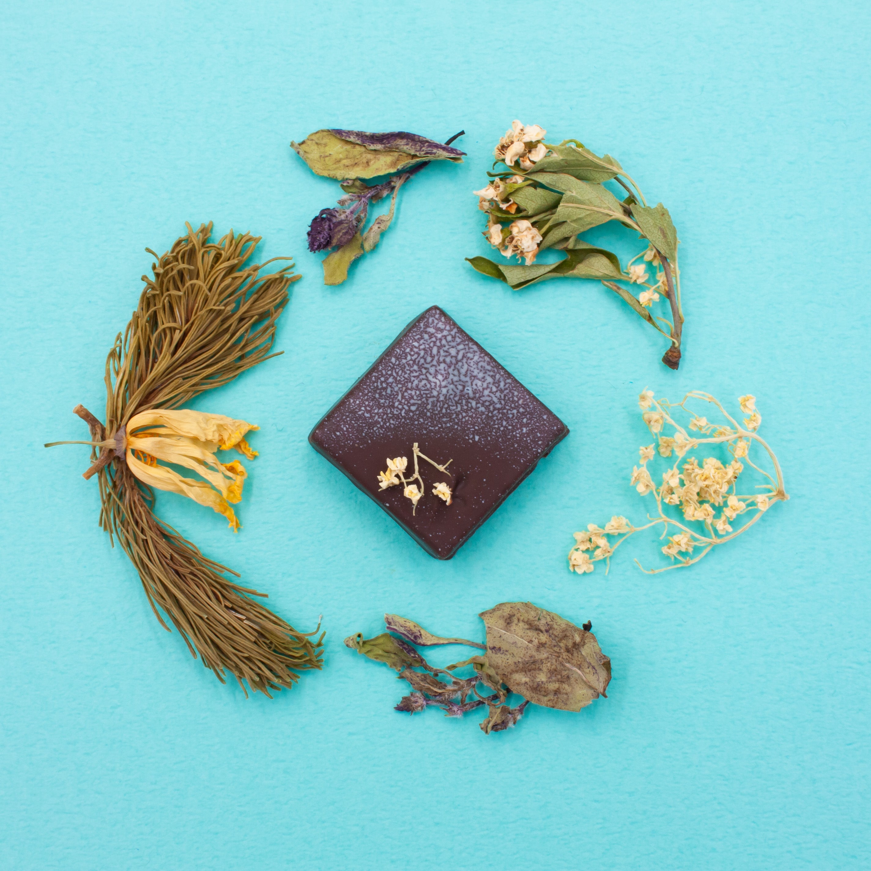 北海道ボンボンショコラ 12個入【冷蔵便】